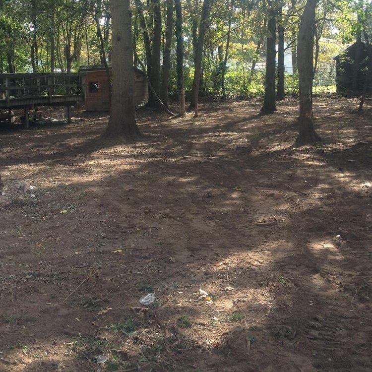 Land Clearing