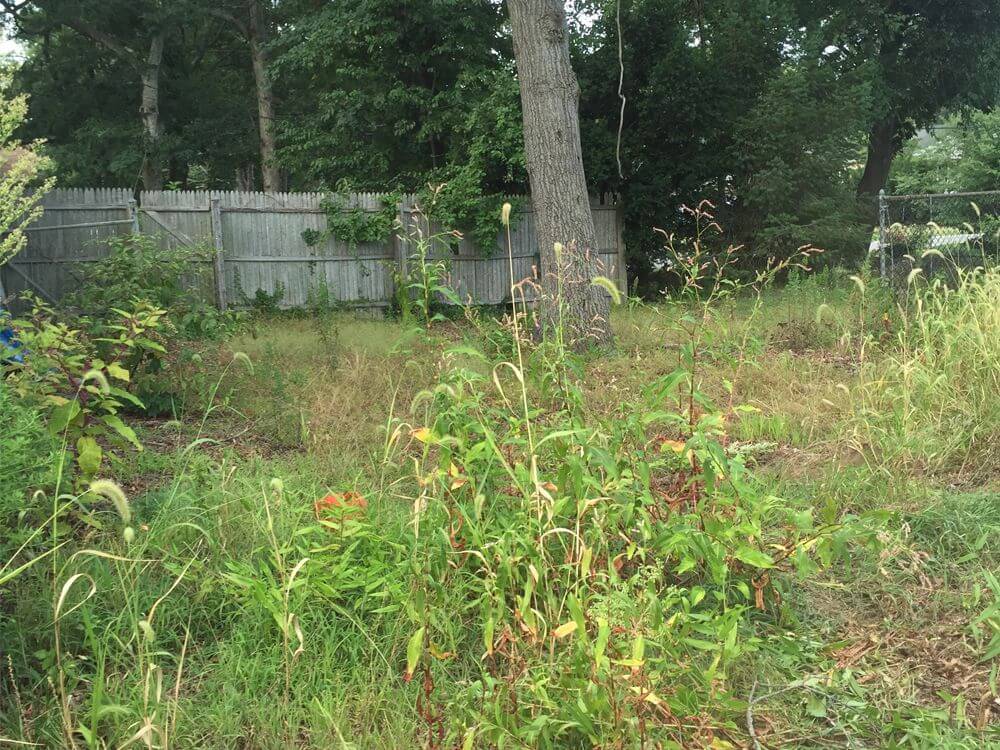 Land Clearing