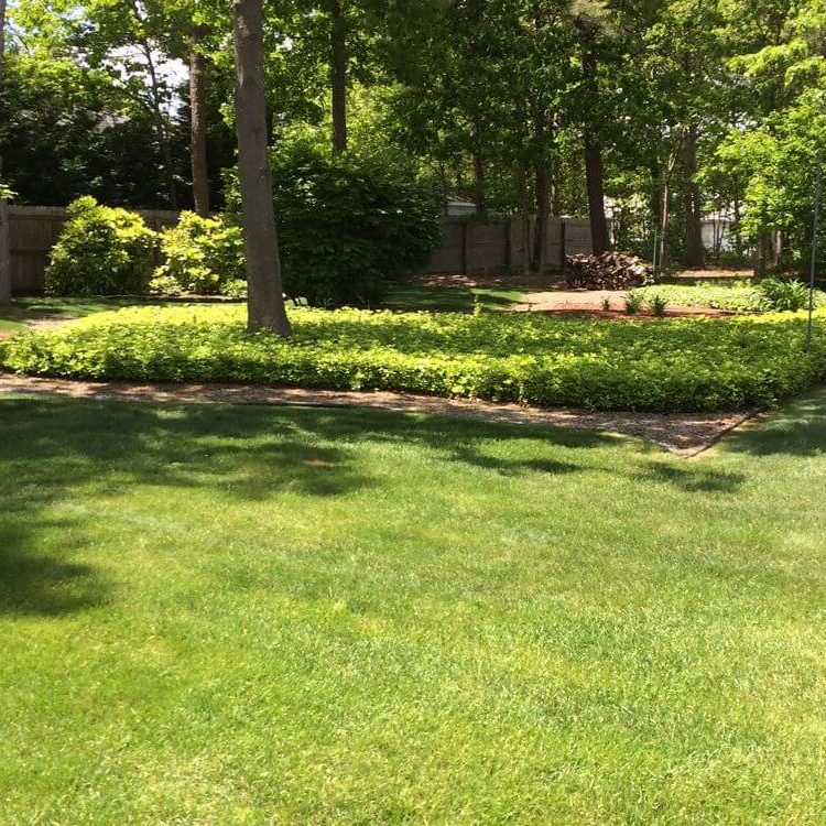 landscaping designs