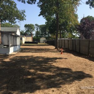 Land Clearing images