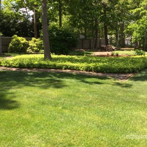 Landscaping and Design image