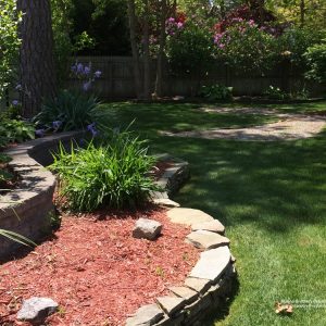 Landscaping and Design